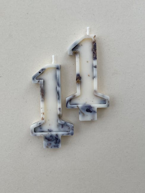 Growth and Celebration